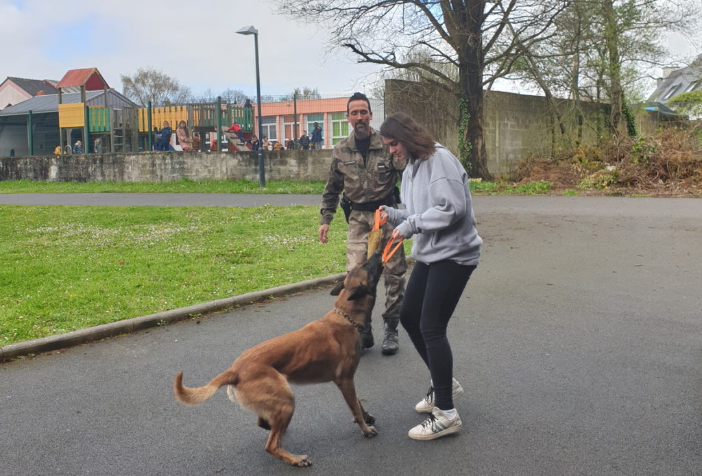 intervention maitres chiens en MDS et AS 1