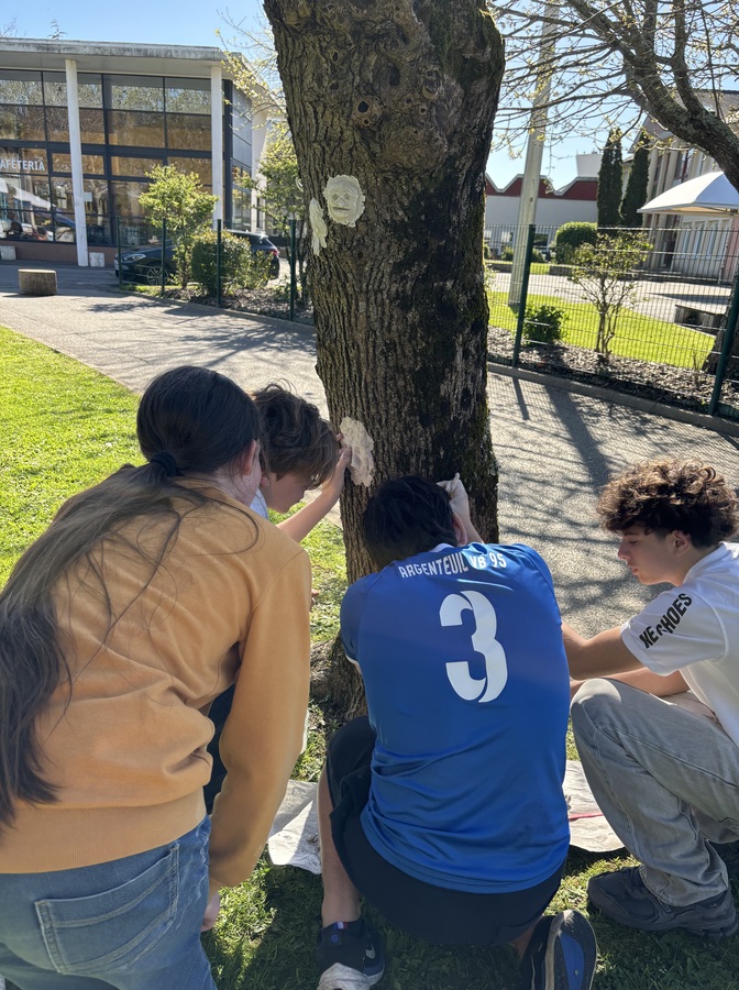 Des lycéens de l'atelier artistique se sont initiés à la sculpture 2024 2