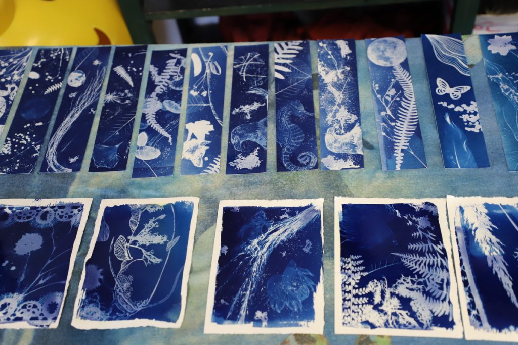 Initiation au Cyanotype 3D au collège 2025 2